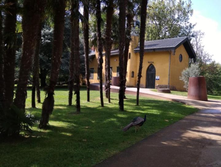 Holiday home Big 4 In A Centric Parking Included San Sebastian